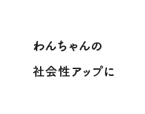 わんちゃんの社会性アップに