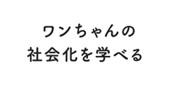 ワンちゃんの社会化を学べる